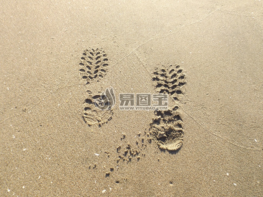 沙滩脚印-欧莱凯设计网